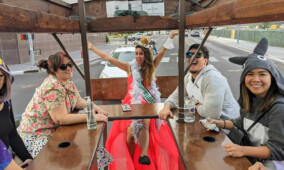 Fresno Brew Bike Private Tour