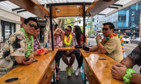 Fresno Brew Bike Private Tour